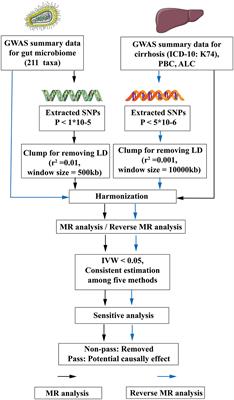 The causality between gut microbiome and liver cirrhosis: a bi-directional two-sample Mendelian randomization analysis